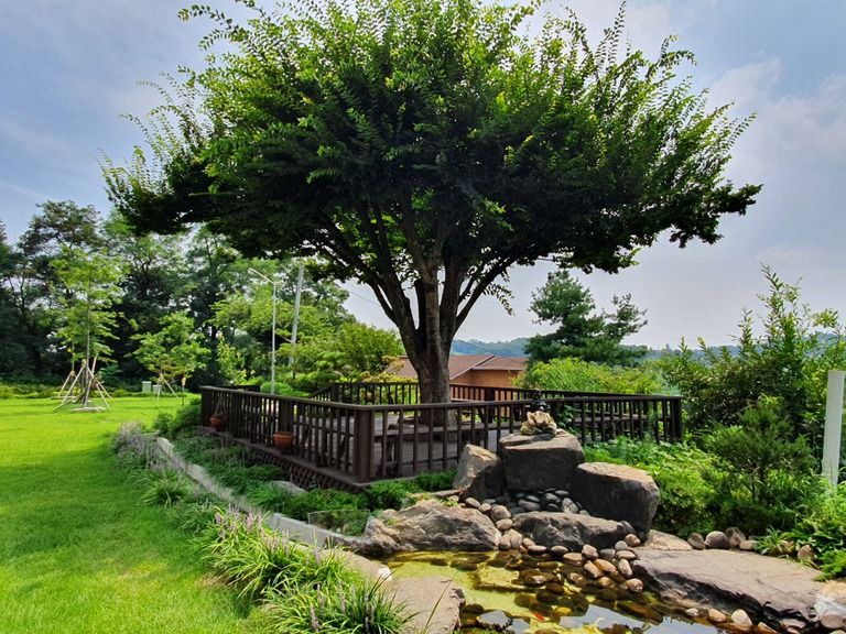 실버프리의 측면풍경