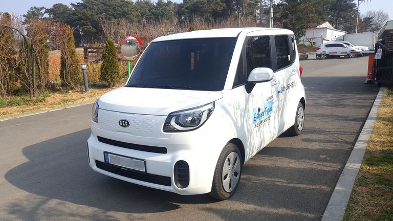 1:1 수급자 맞춤케어 차량, 레이